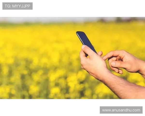 亚游PA官方最新版本更新，优化游戏性能提升用户体验