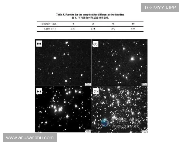 详细解析Inbet网址登录线路的安全性和稳定性，为玩家保驾护航